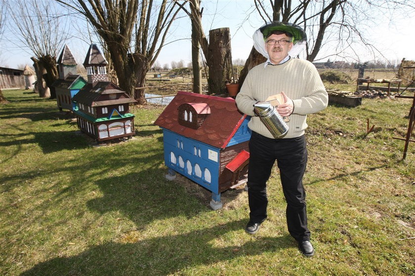 Miód będzie jeszcze droższy! Jego cena skoczy do...