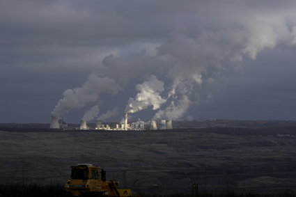 Ekolodzy: ruch TSUE to zwycięstwo przyrody i klimatu