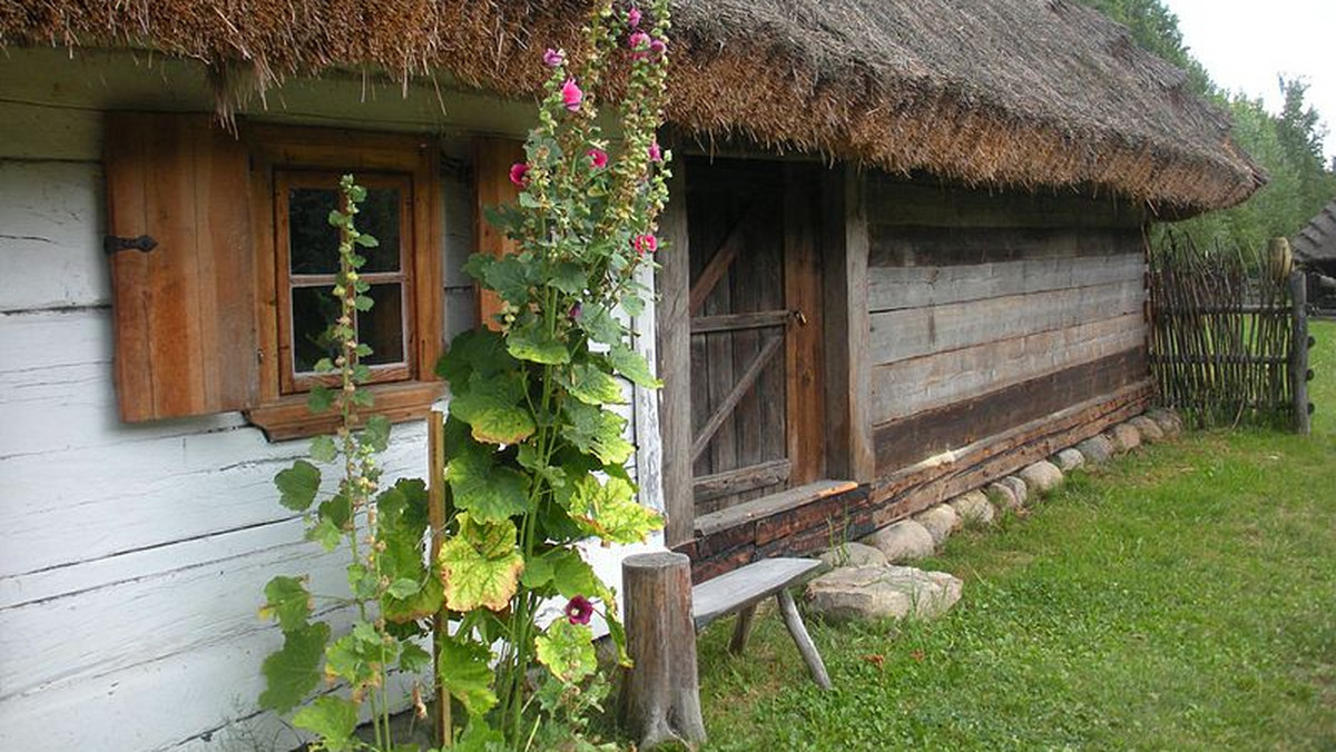 Zabytkowe wiejskie chaty, drewniane budynki gospodarcze jak stodoła czy spichlerz - znajdą się w powstającej w Podlaskim Muzeum Kultury Ludowej tzw. wiosce białoruskiej, czyli zagrodzie poświęconej budownictwu południowo-wschodniej części regionu.