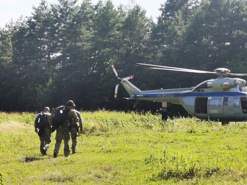 Policjanci i antyterroryści szukają pumy w lasach Ogrodzieńca!