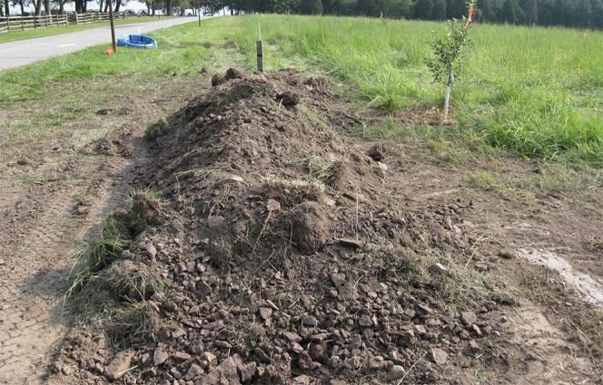 A rendőr furcsa visítást hall a föld alól, kaparni kezd, aztán meglátja EZT