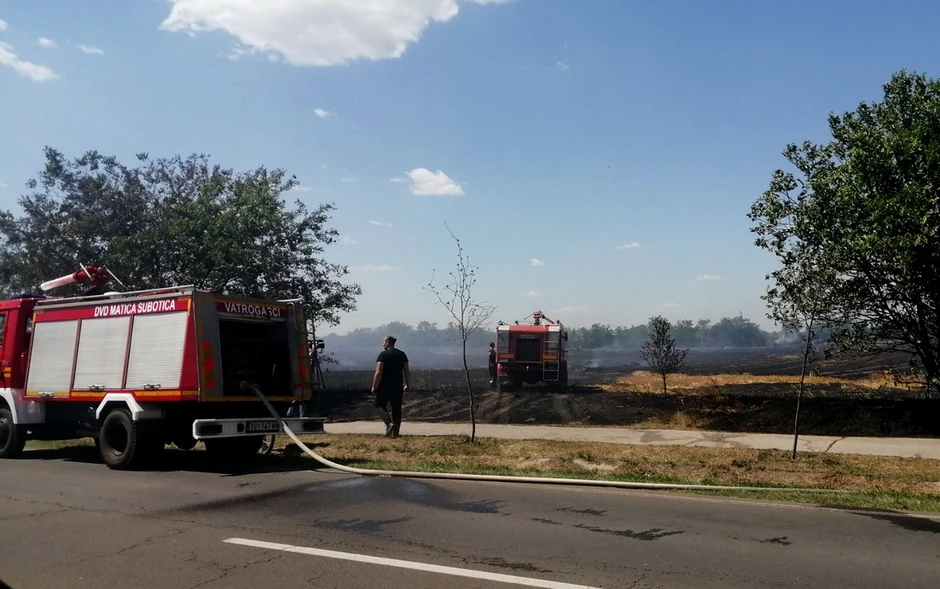 Požar ugašen zahvaljujući vatrogascima iz Subotice, Bačke Topole, Malog Iđoša