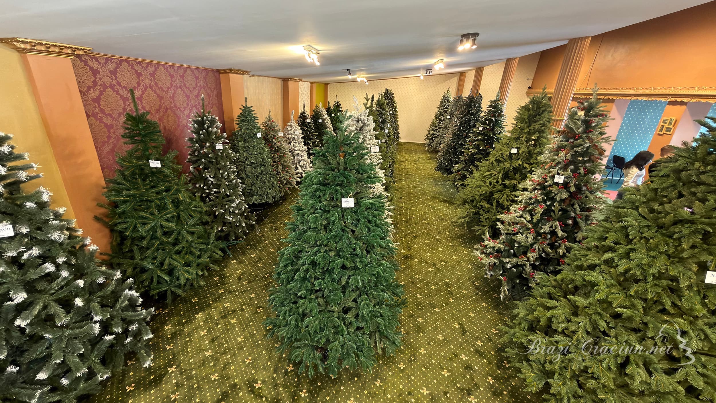 S-a deschis Marea Expoziție de Brazi Artificiali din București: peste 100 de modele pot fi văzute în showroomul BraziCraciun.net