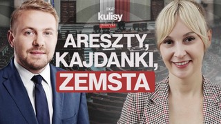 Areszty, kajdanki, zemsta. Ozdoba bez hamulców [KULISY POLITYKI]