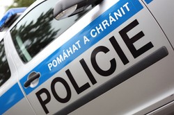 Sposób na walkę z terroryzmem? Czeski prezydent popiera wprowadzenie wojsk na granicę