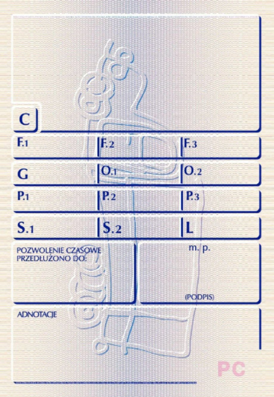 Nowy wzór pozwolenia czasowego