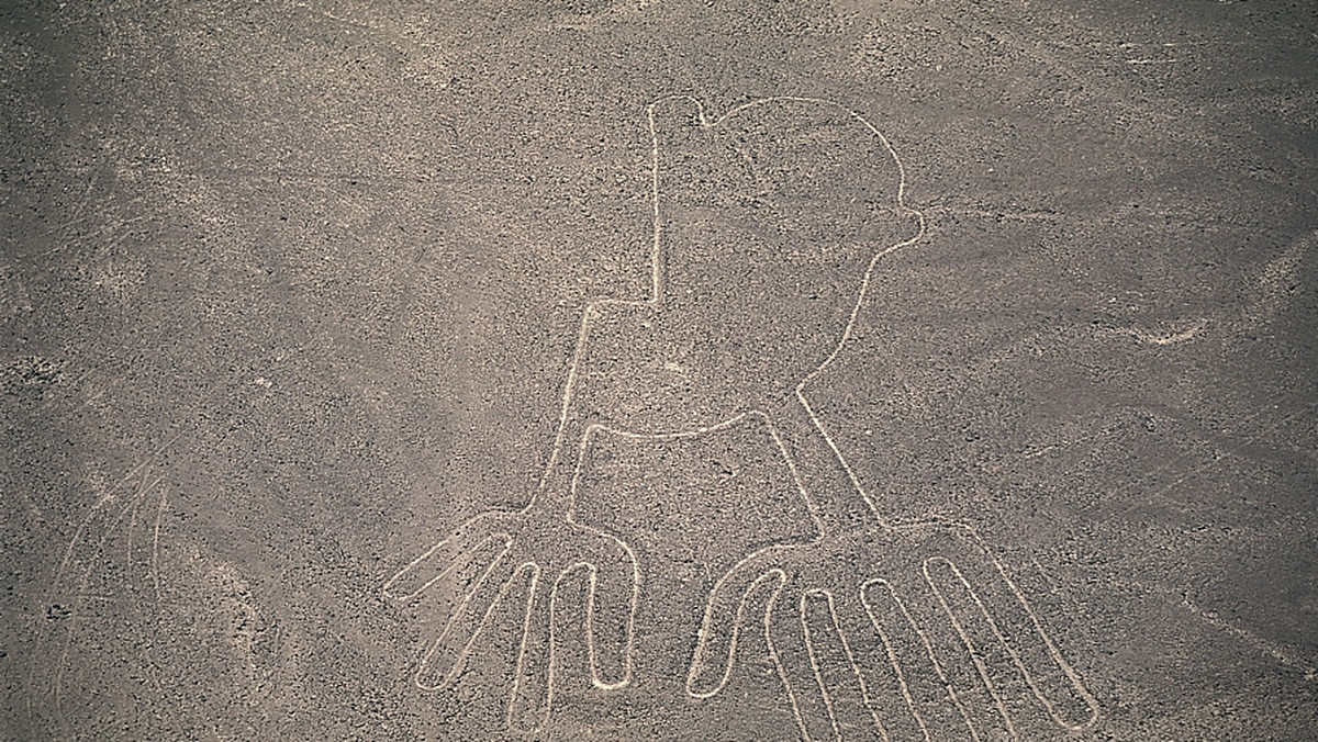 Zespół japońskich naukowców odkrył dwa nowe rysunki naskalne na Płaskowyżu Nazca w Peru - informuje serwis internetowy Japan Times.