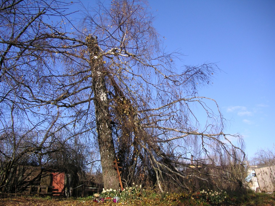 Smoleńsk, zdjęcia z 2010 roku. Fot. Marek Poznański