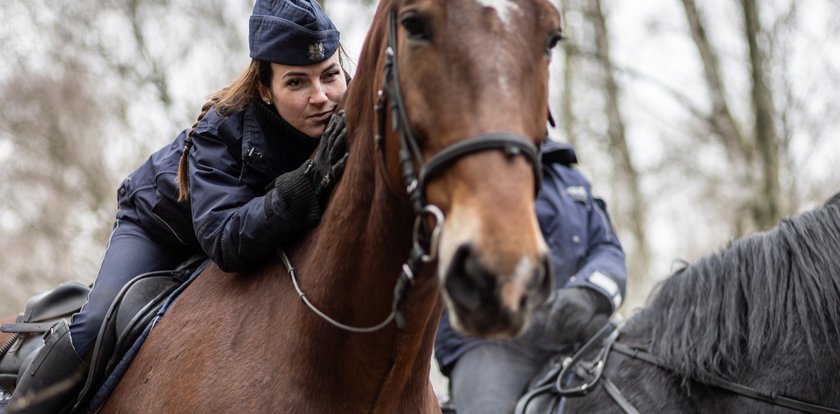 Policjantka poturbowana przez konia znów w siodle. Mogę robić to, co kocham – mówi sierżant Teresa Adamkiewicz