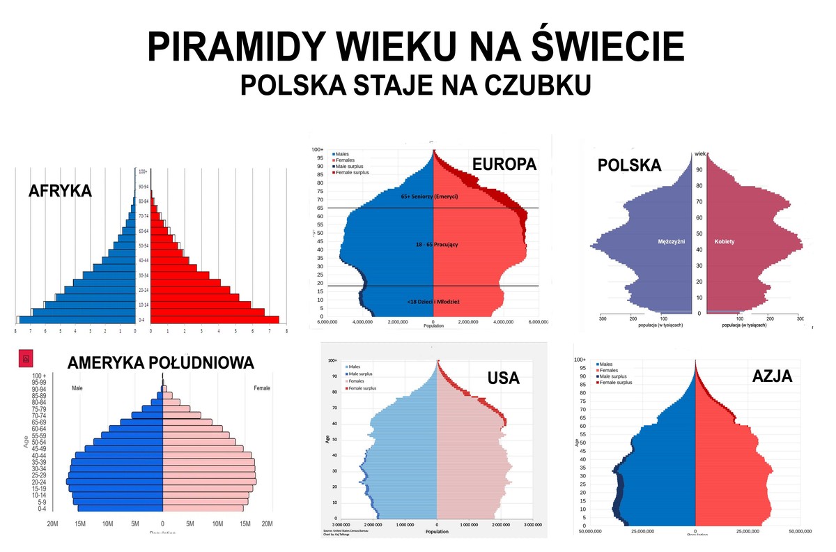 Piramidy wieku na świecie. Polska staje na czubku