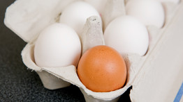 Tudta? Ezért barna vagy fehér színű a tojás héja!