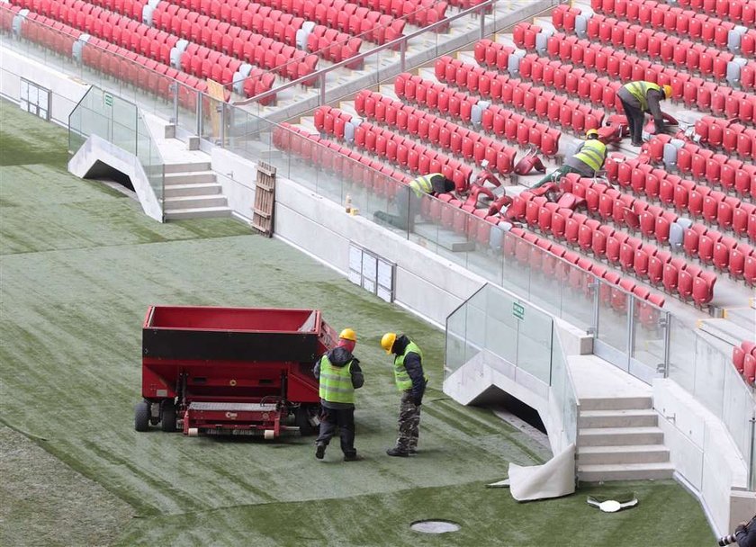 Murawa na Stadionie Narodowym jest w koszmarnym stanie