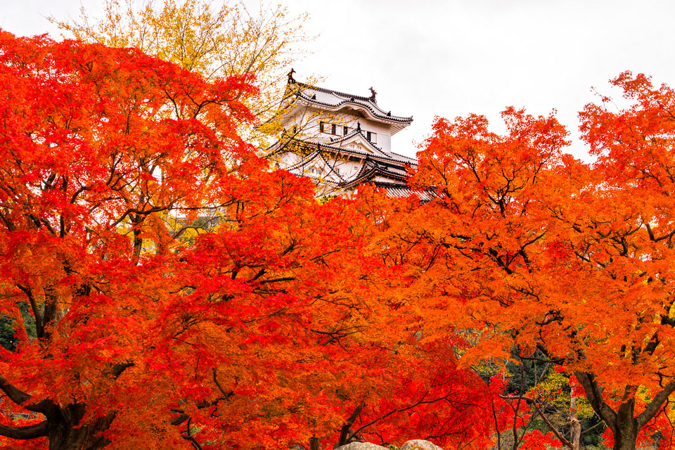 Zamek Himeji, Japonia