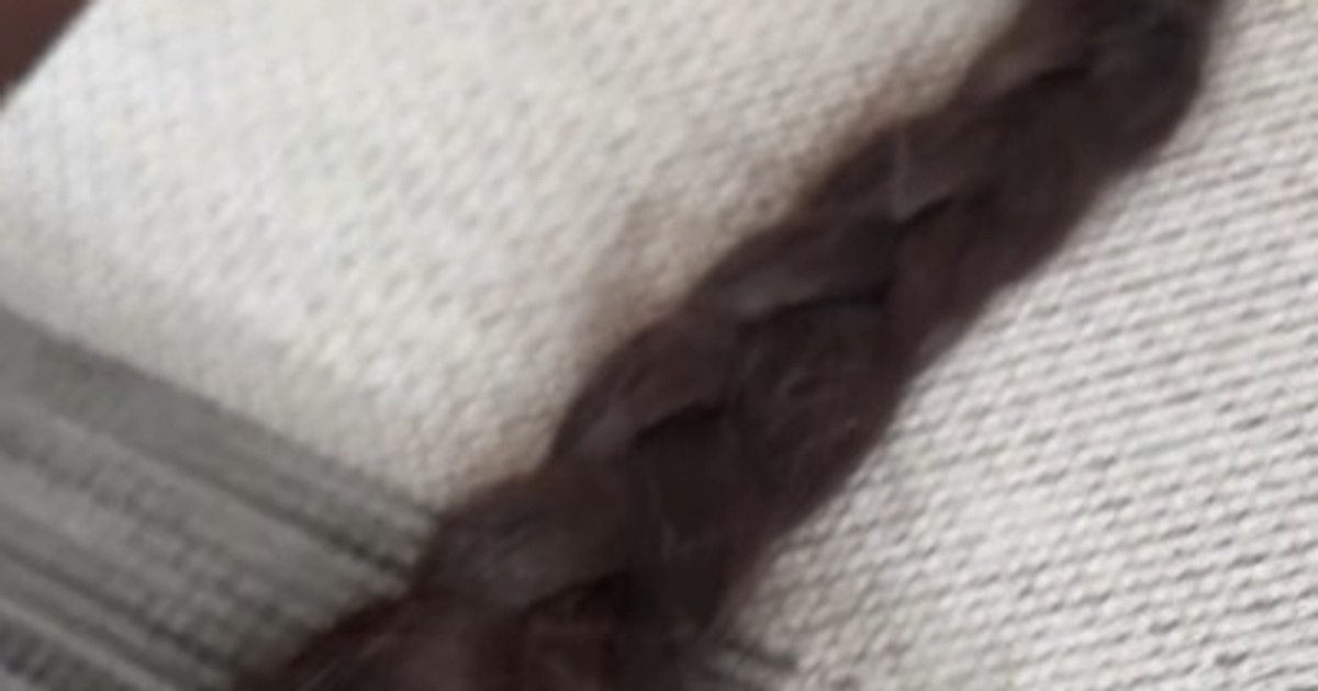 Skupuje włosy z Polski. Pokazała, co dostała w jednej z przesyłek. "Niech mnie ktoś uszczypnie"