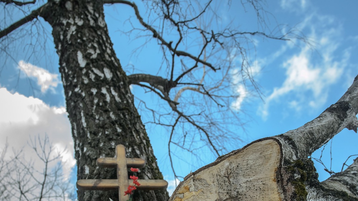 Już wczoraj mieszkańcy Smoleńska zapalili świeczki obok drzewa, o które zaczepił skrzydłem prezydencki Tu-154M. W przeddzień trzeciej rocznicy tragedii uporządkowano miejsce katastrofy i przygotowano je do dzisiejszych uroczystości.