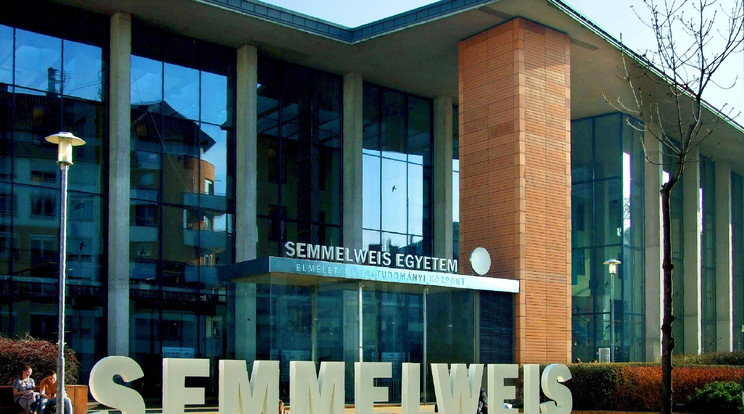 Semmelweis Egyetem Elméleti Orvostudományi Központjának épülete Budapesten, a Thaly Kálmán utcában /Fotó: MTVA/Bizományosi: Jászai Csaba