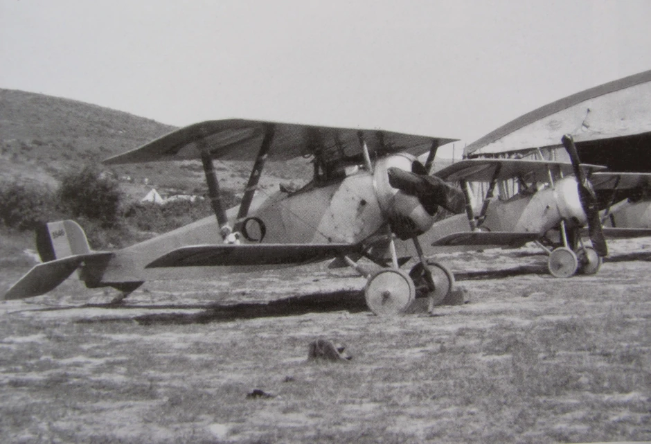 Avioni tipa njepor su u Srpsko vazduhoplovstvo došli posle reorganizacije na Krfu i formiranja posebnog Njeporskog odeljenja