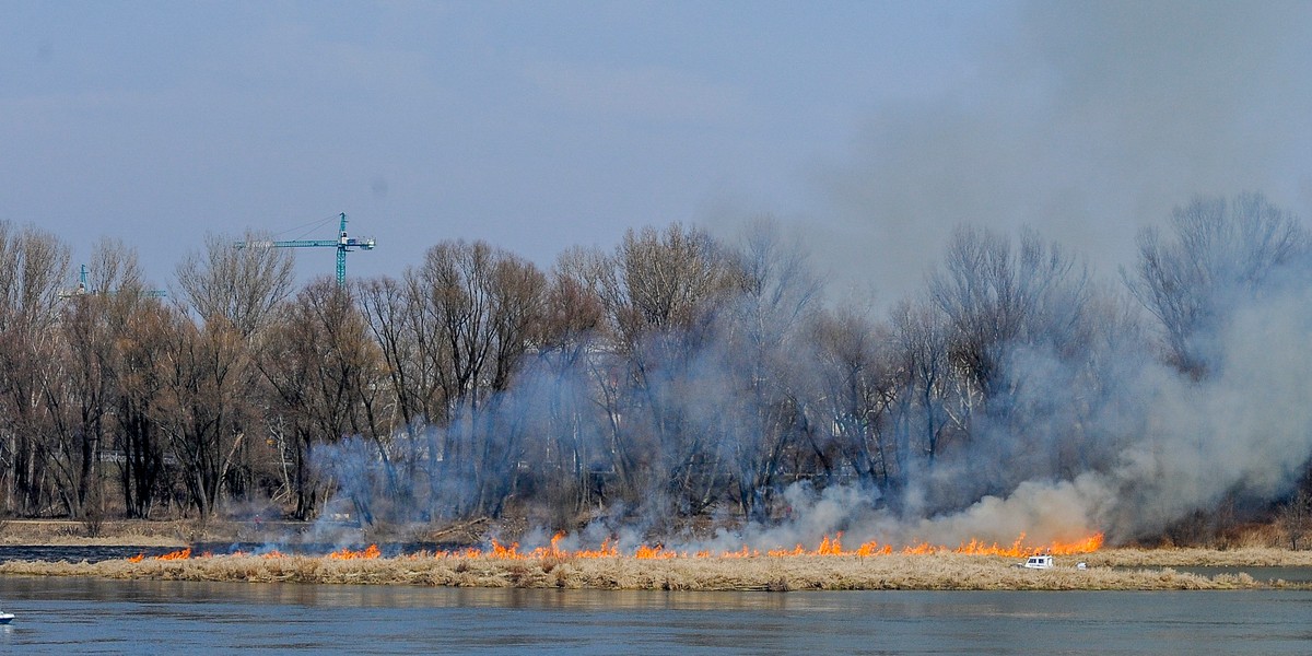 Pożar przy moście Świętokrzyskim