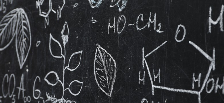 QUIZ. Proste pytania z biologii. Niektóre są z matury. 6/12 to podstawa, ale idź po więcej