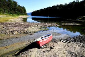 Biznes a sytuacja hydrologiczna w Polsce. Jak firmy mogą zadbać o wodę