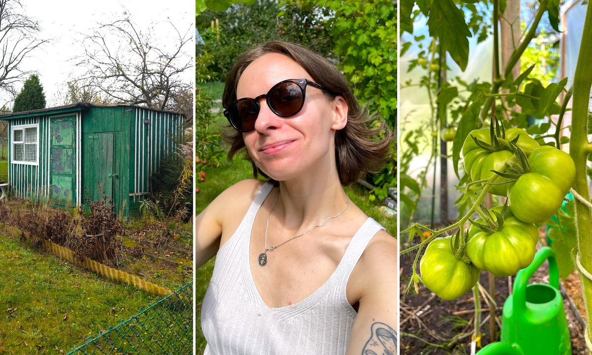 Kupili okazyjnie działkę ROD. "Ustawił się szwadron chętnych"