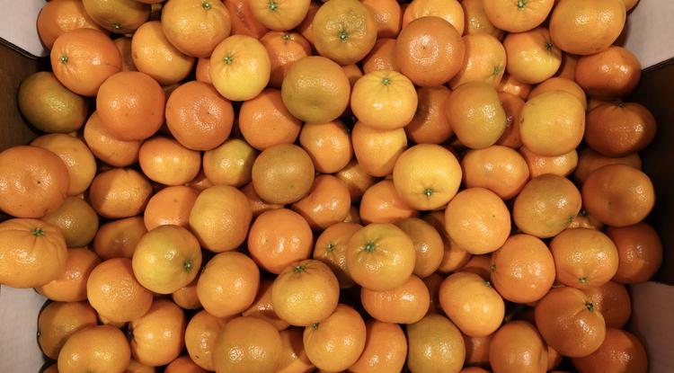 Ezért érdemes elfogyasztani a mandarin héját is. Fotó: Getty Images