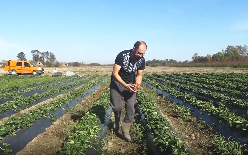 Selo Štitar kod Šapca