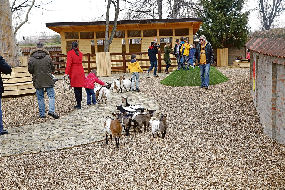 Deca mogu i da pomaze pojedine vrste životinja