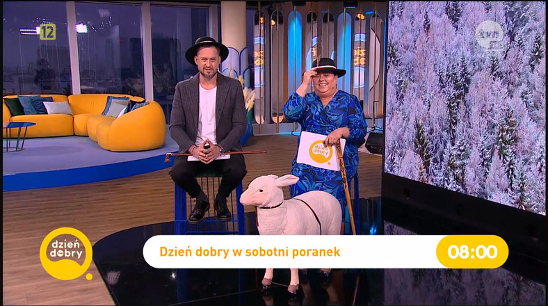 Screen z programu "Dzień dobry TVN"