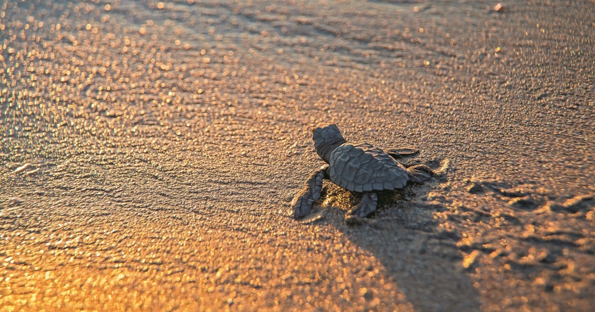 Ten widok zapiera dech. "Kluczowa jest temperatura"