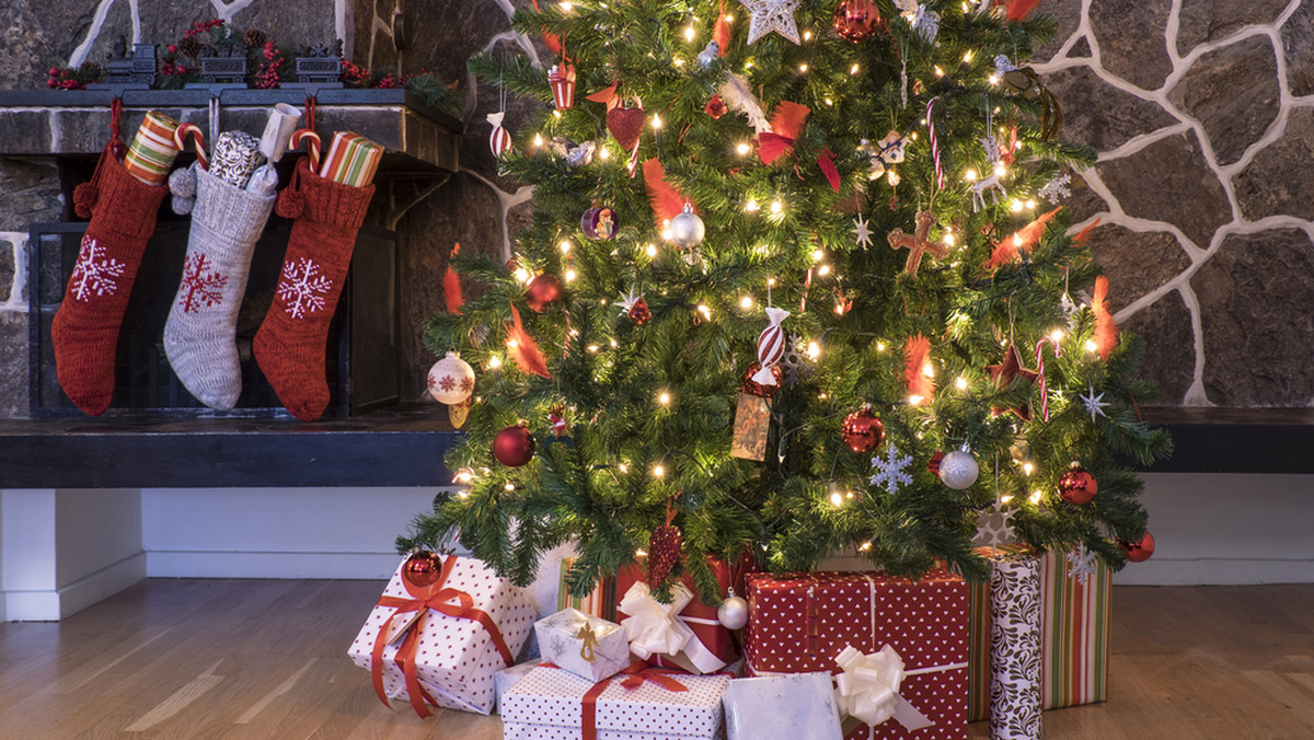 Święta Bożego Narodzenia: jakie drzewka są najlepsze na choinki? 