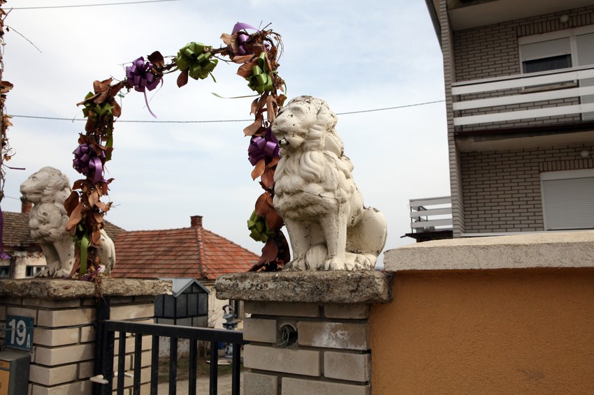 lavovi na kapiji, ilustracija