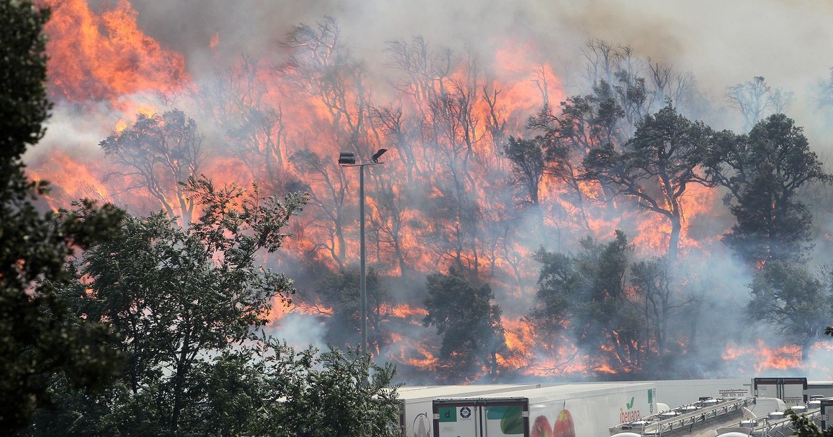 Tragiczna śmierć żołnierza. Zginął, gdy wokół szalały płomienie