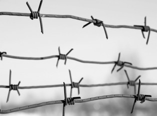 Rząd RP na uchodźstwie wobec Zagłady. Pomóc tym, którym się dało