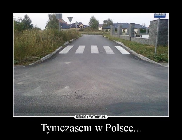 'Meanwhile in Poland'. Internet śmieje się z Polaków