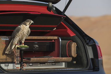 Bentley stworzył luksusowego SUV-a dla arabskich sokolników. Wygląda niesamowicie