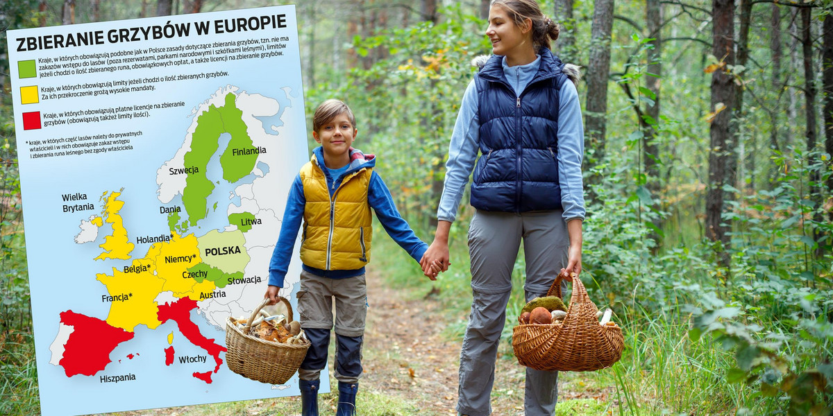 W Europie są kraje, gdzie rzeczywiście obowiązują zakazy zbierania grzybów, w innych trzeba uważać na ograniczenia w ilości zbieranego runa lub uzyskać specjalną licencję. Są jednak państwa, w których grzyby można zbierać na podobnych zasadach jak w Polsce.