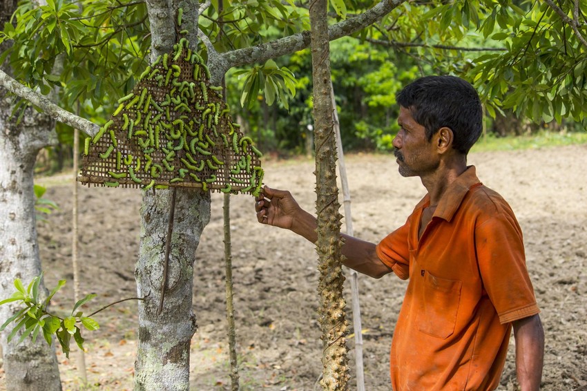 Taj postupak izgleda ovako
