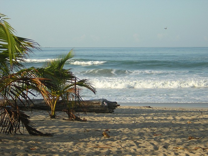 10. Santa Teresa, Kostaryka. Fot.flickr/Desobry23