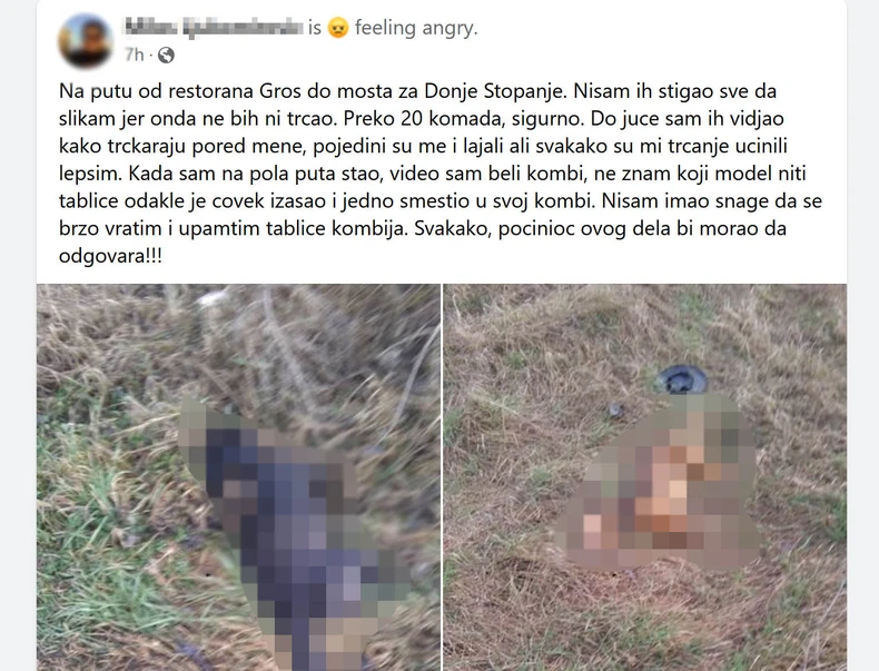 Trovanje pasa u Leskovcu