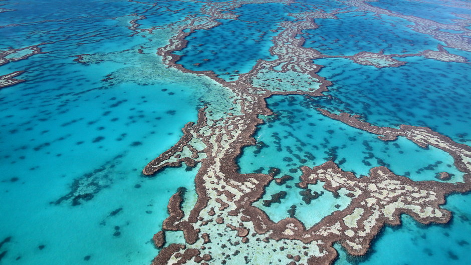 Wielka Rafa Koralowa nie trafi na listę zagrożonych obiektów