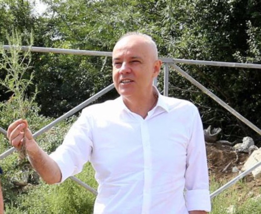 Gradonačelnik dr Zoran Radojičić