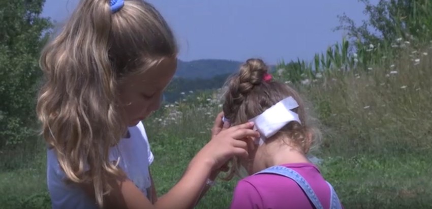 Napad srndaća u Pepeljevcu kod Kruševca
