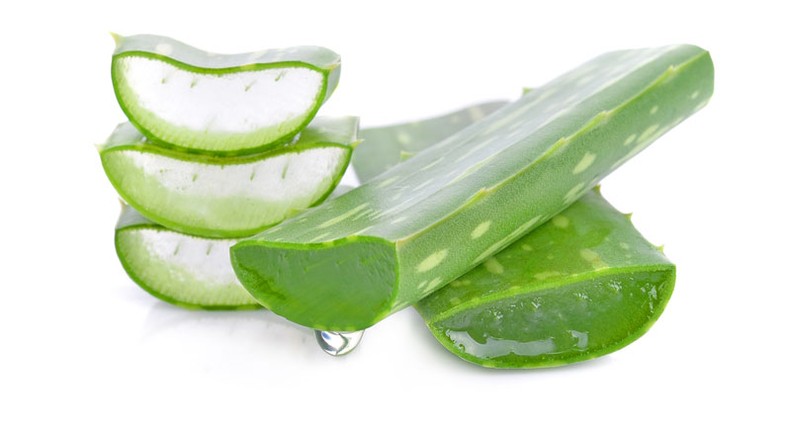 Aloe Vera (Courtesy)