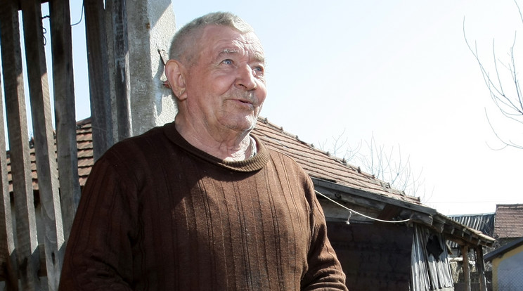Szoboszlai Barnabásról rengeteget cikkeztek, az uborkás gazda néven elhíresült nyugdíjas a kertje védelmében vezetett áramot a kerítésbe