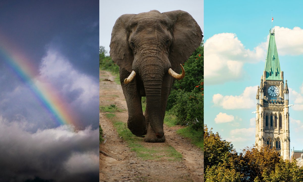 Sprawdź, ile wiesz o świecie. Quiz dla wszechstronnych mózgów