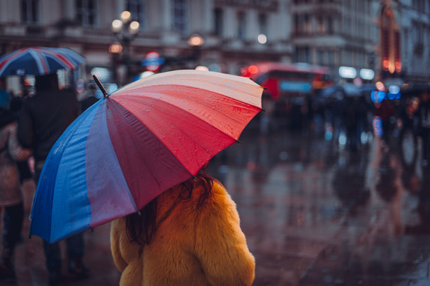 Holenderski prorosyjski polityk, pobity parasolką, ma wstrząs mózgu i musiał zawiesić kampanię