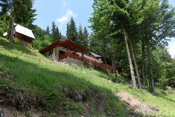 Vodič za kupovinu vikendice u Srbiji: Od Kosmaja do Fruške gore - evo gde se kuće prodaju za 15.000 €, a gde kvadrat ide do 3.300 evra