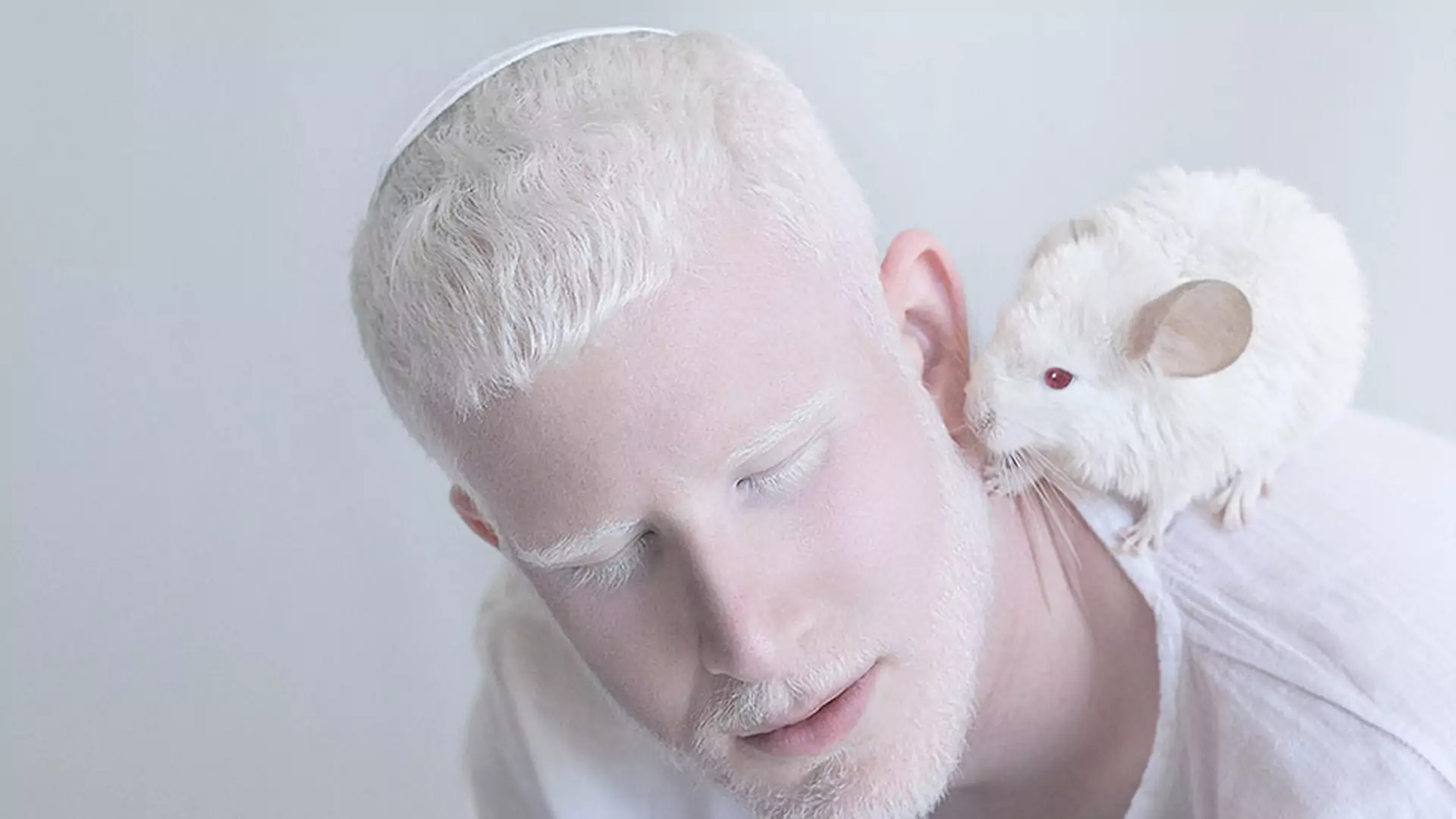 Piękno albinosów w obiektywie utalentowanych fotografików