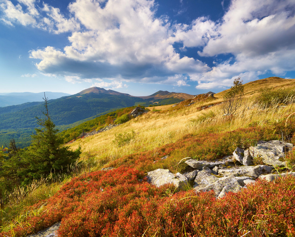 Bieszczady - Bukowe Berdo jesienią